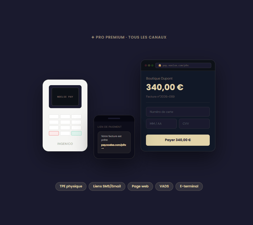 Pro Premium - NoelsePro PremiumPack Commercant/ArtisanMa boutiqueNoelsePro Premium